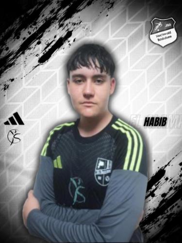Habib El Alami