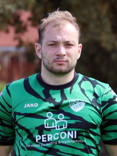 Domenik Riedel