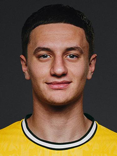Luca Reggiani