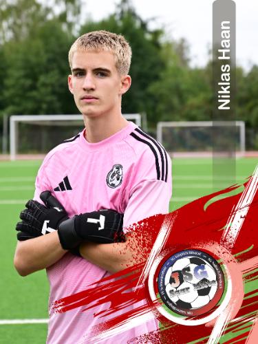 Niklas Haan