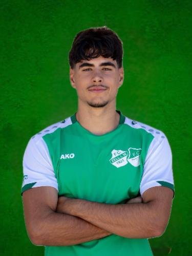 Josuel Bertino