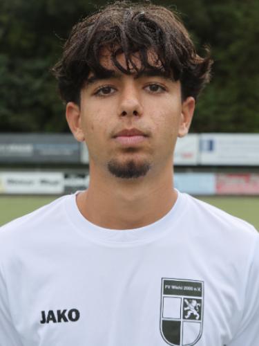 Deniz Vickollari