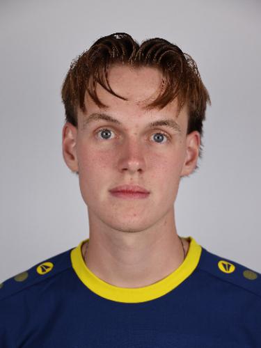 Timm Heckmann