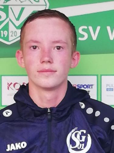 Nico Bisinger