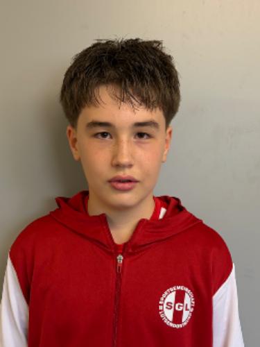 Amir Hesse