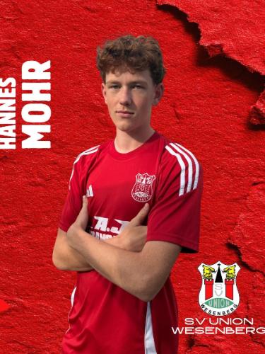 Hannes Mohr