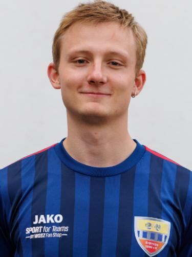 Hans Ziche