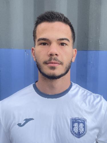 Veljko Vlajic