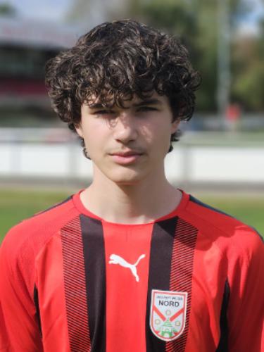 Luka Totic