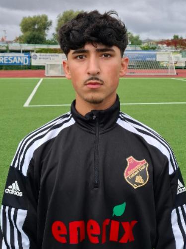 Amir Ali