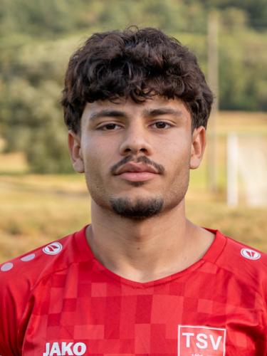 Mohammad Sadeq Sultani