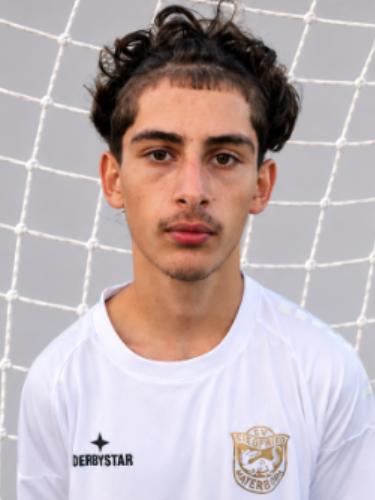 Yigit-Neset Özerdogan