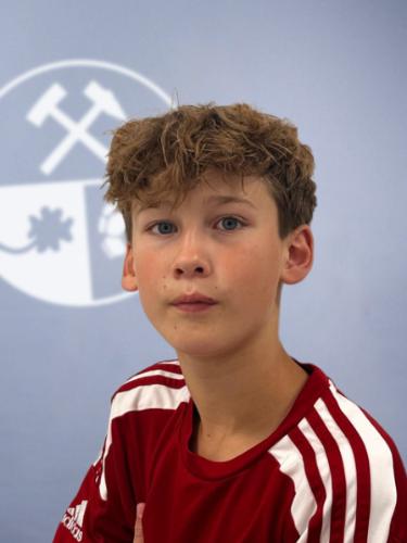 Henry Zipp