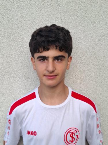 Mohammad Shaker Mshir
