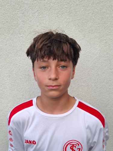 Milan Maier