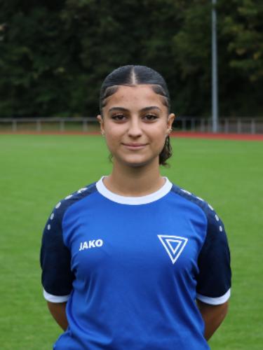 Rozhin Karwan Abdulkareem