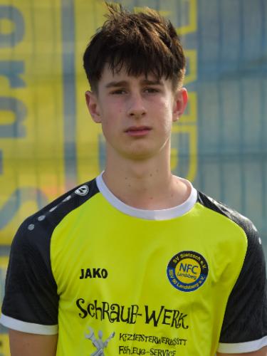 Theo Schmidt
