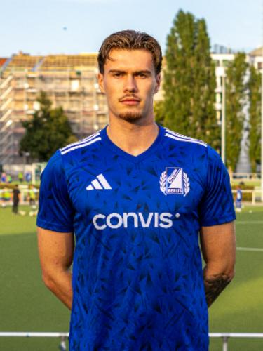 Louis Franz Wesner