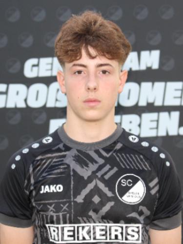 Ionut-Alexandru Gavrilescu