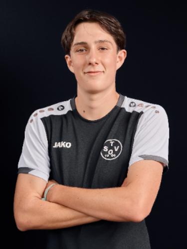 Niklas Ingerl