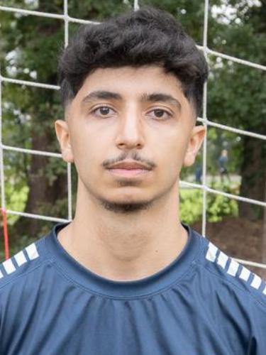 Dilovan Alp
