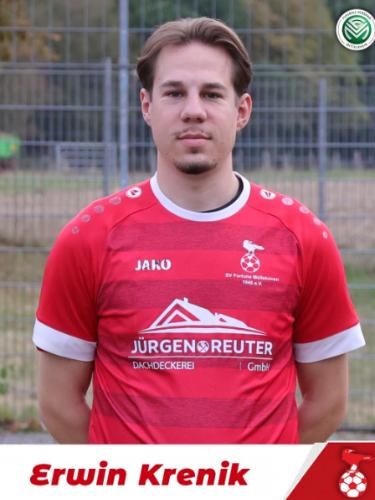 Erwin Krenik