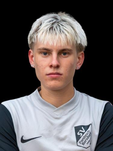 Willi Schmidt
