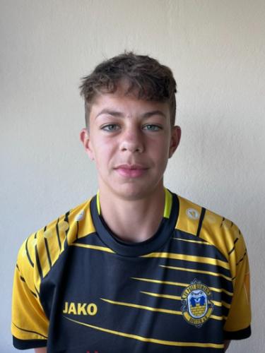 Diego Ulbrich