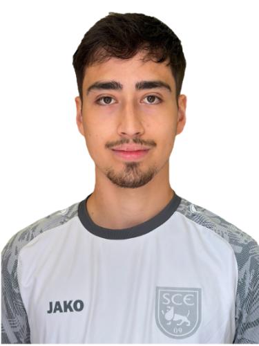 Patric Meiers