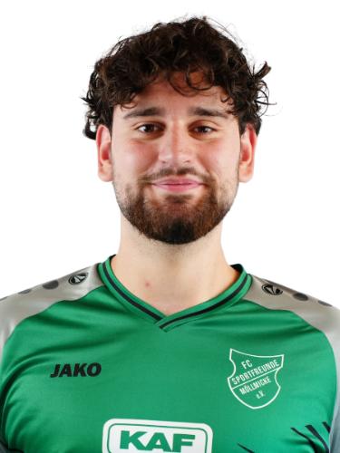 Djordje Ristic