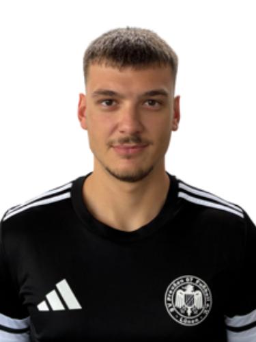 Mladen Mitrovic