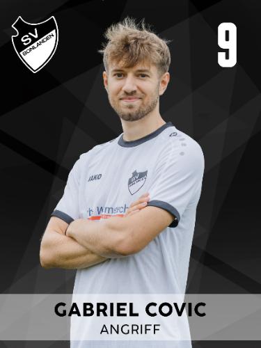 Gabriel Covic
