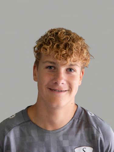 Louis Wellingerhoff