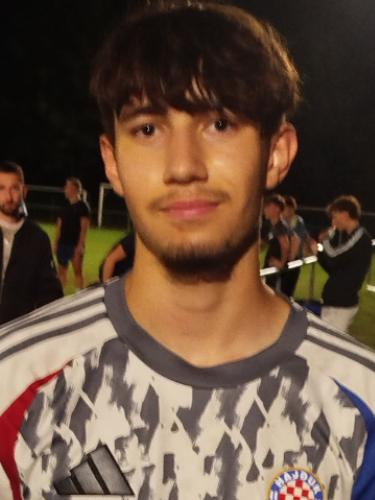 Dino Hundur