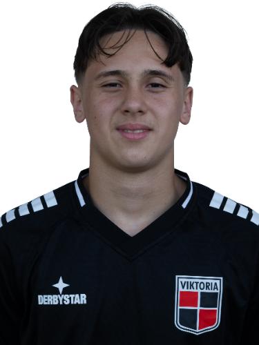 Nedim Muminovic