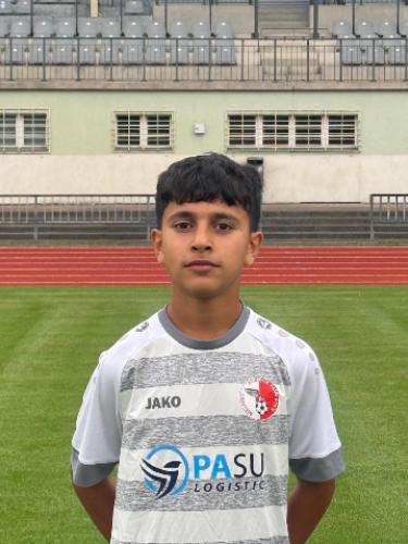 Mustafa Wali