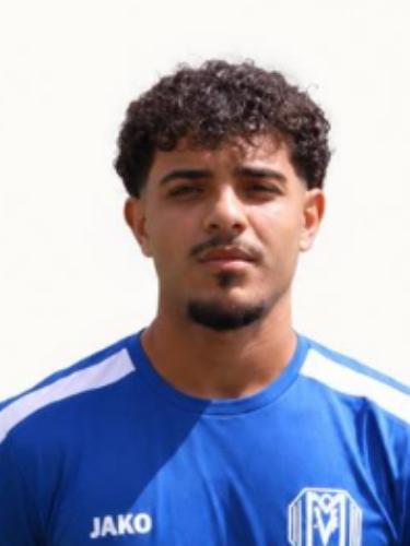 Abdul Majid Almostafa Alhamzawi