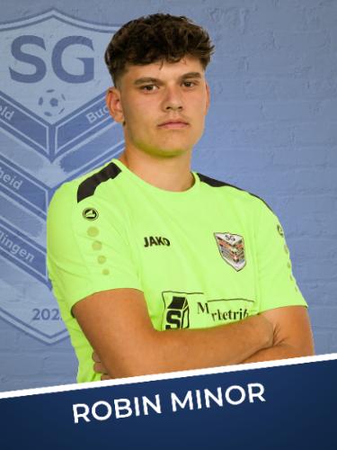 Robin Minor