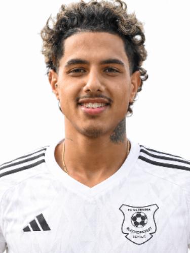 Fabio Hajdaraj