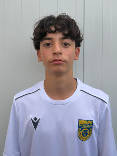 Marios Lazeri