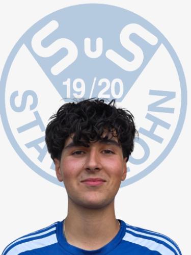 Pedro Martim da Silva Lopes