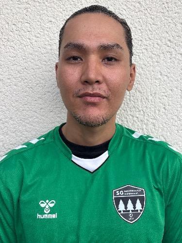 Alireza Ahmadi