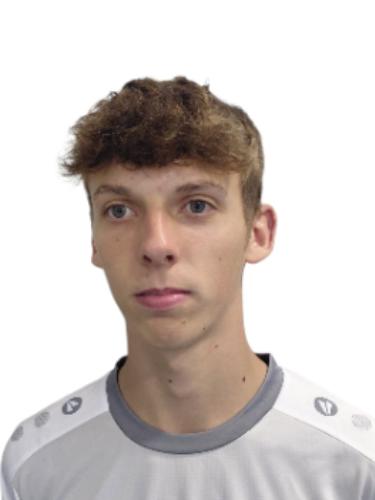 Luca van Tulden
