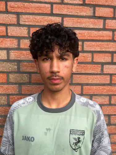 Bilal Alhussein