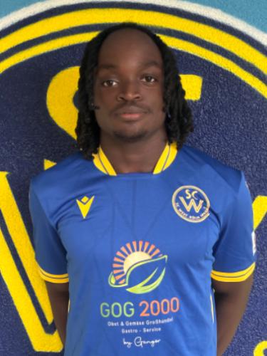 Josselin Junior Chuchap Ngouloure