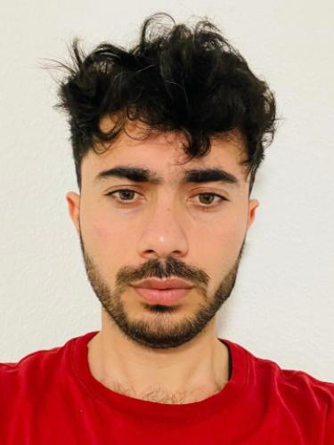 Ramin Shamsi