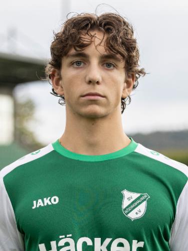 Tim Justus Hollensteiner