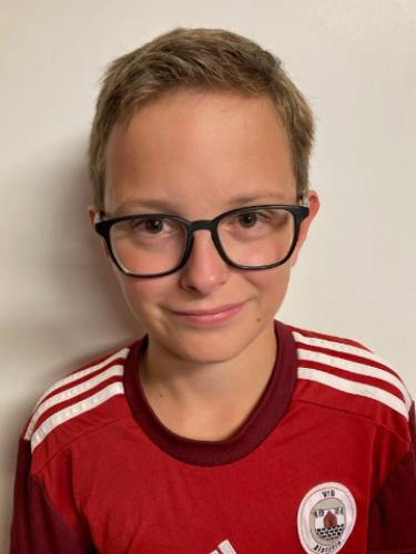 Theo Söbbing