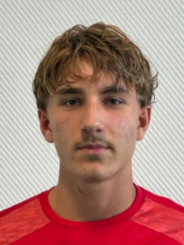 Luka Siemens