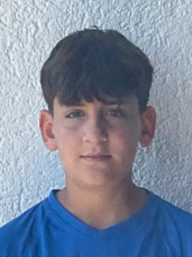 Asir Ali Özdemir